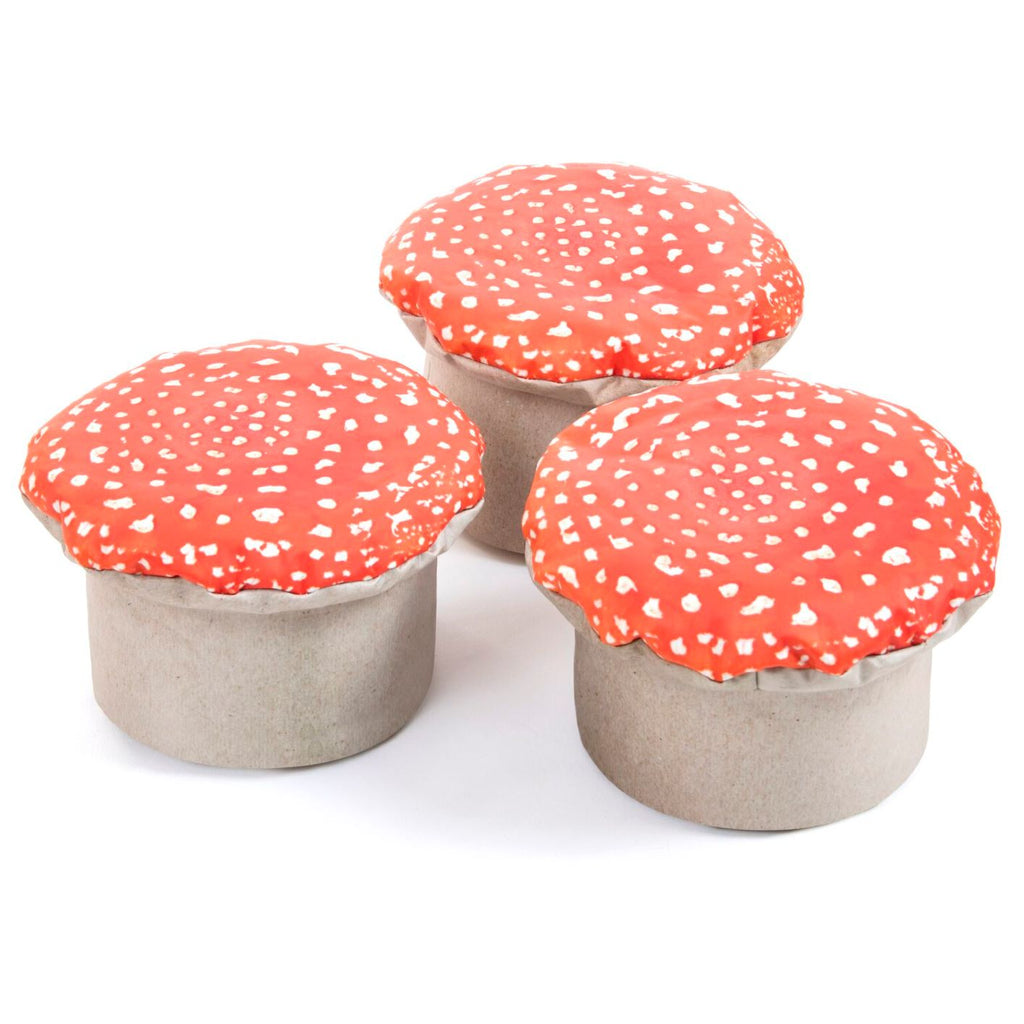 Learn about Nature Woodland Toad Stool - PK 3 - Sensory Surroundings Limited